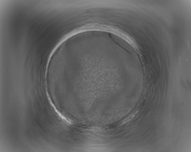 X0000082201536200702092348