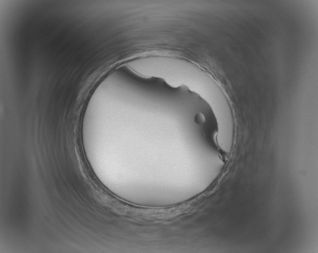 X0000082200001200702170030