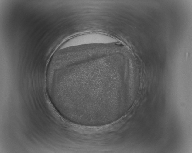 X0000082200002200702170030