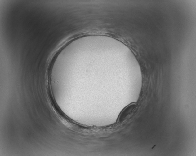 X0000082200005200702170030