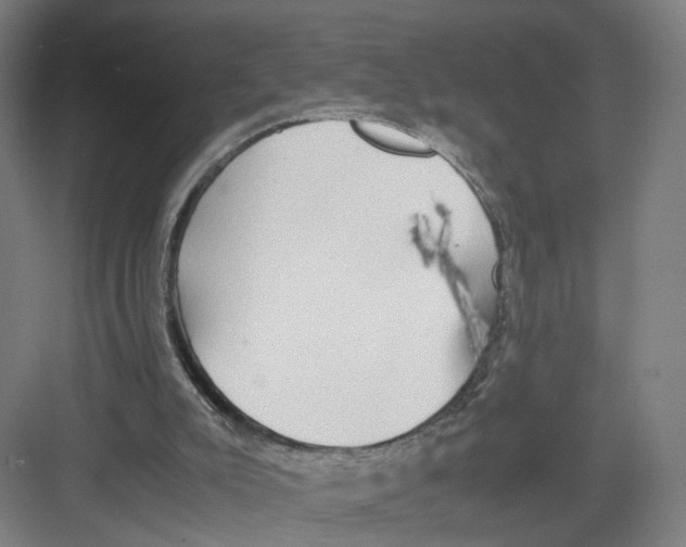 X0000082200007200702170030