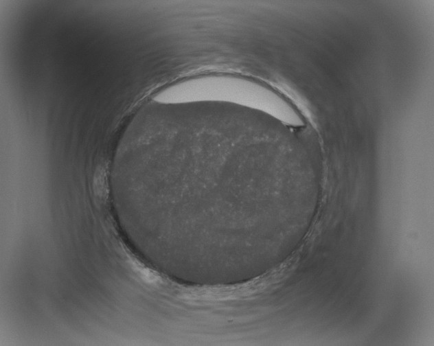 X0000082200009200702170030