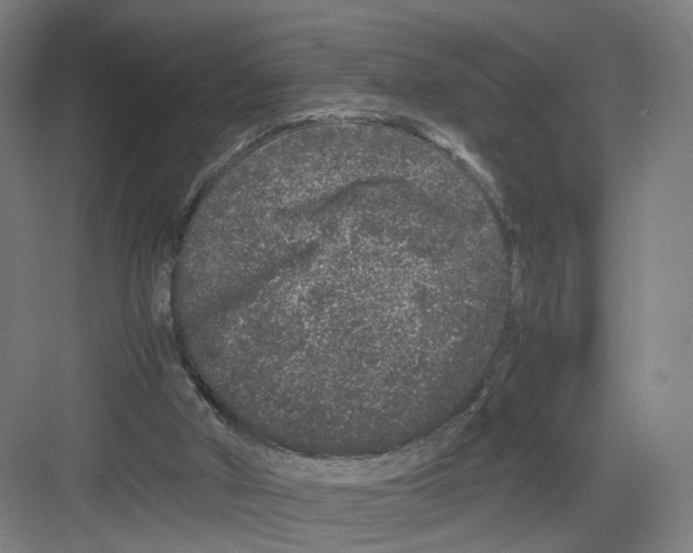 X0000082200010200702170030