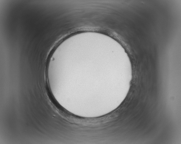 X0000082200011200702170030