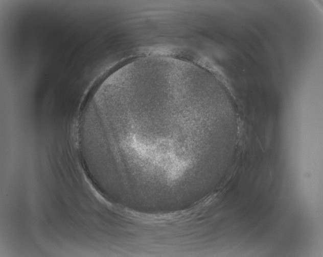 X0000082200012200702170030