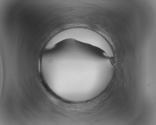 X0000082200013200702170030