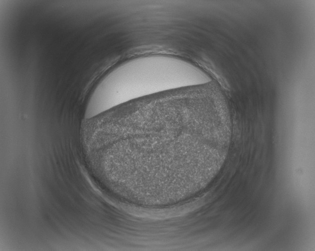 X0000082200014200702170030