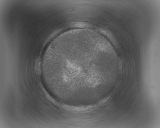 X0000082200016200702170030