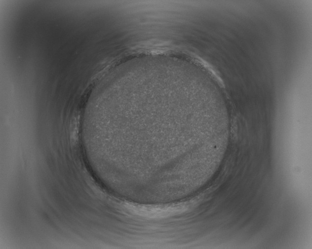 X0000082200018200702170030