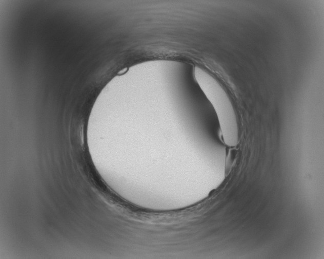 X0000082200021200702170030