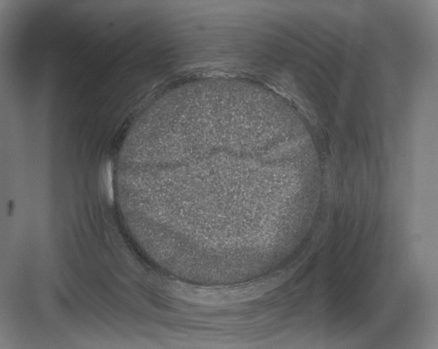 X0000082200022200702170030