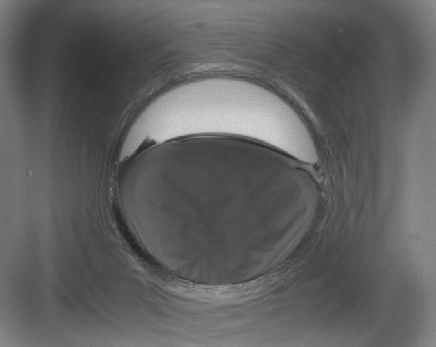 X0000082200023200702170030