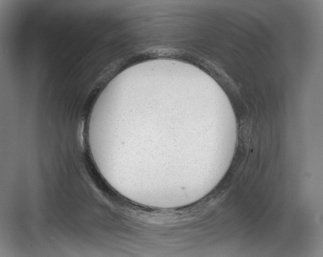 X0000082200024200702170030