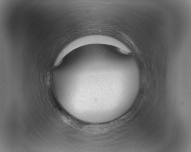 X0000082200025200702170030