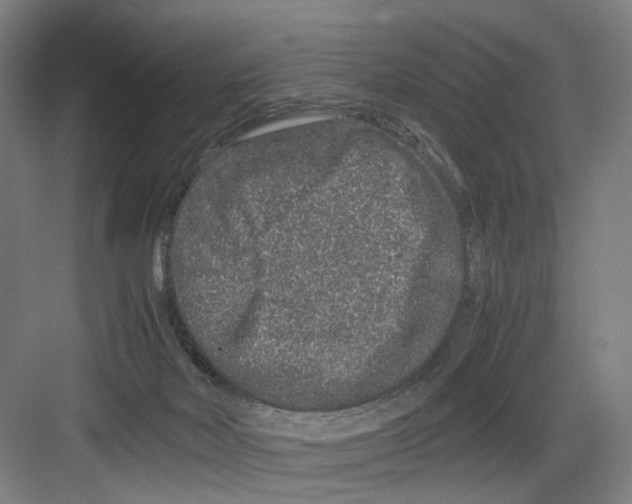 X0000082200026200702170030