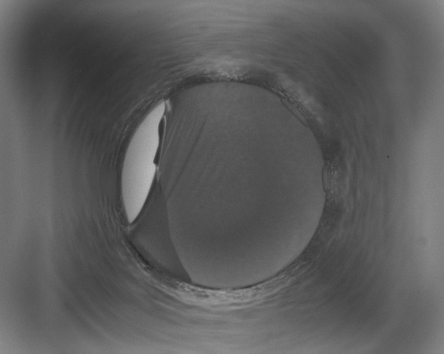 X0000082200027200702170030