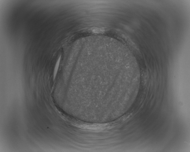 X0000082200032200702170030