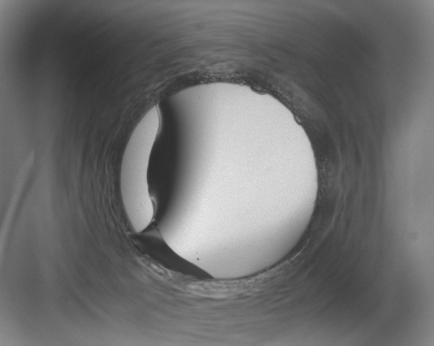 X0000082200033200702170030