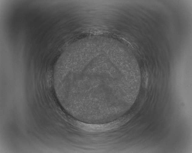 X0000082200034200702170030