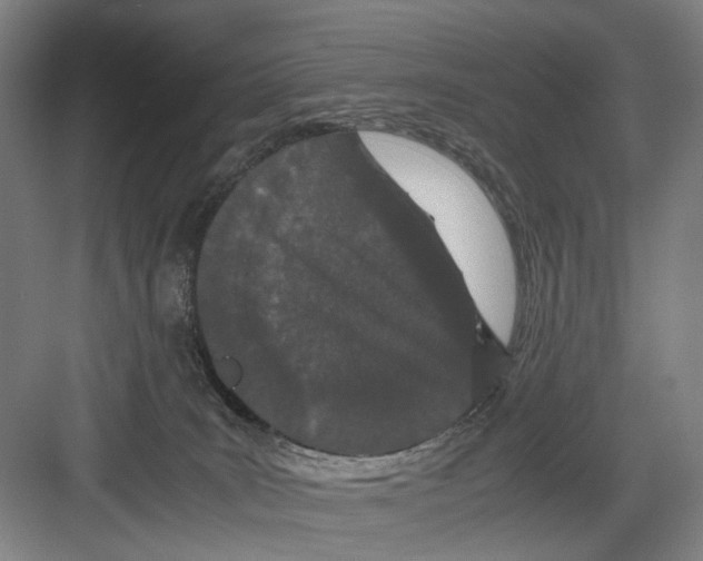 X0000082200035200702170030