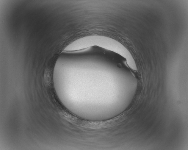 X0000082200037200702170030