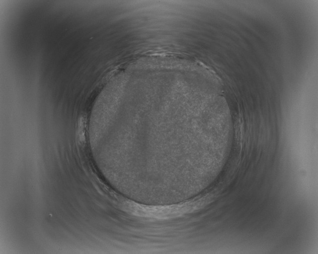 X0000082200038200702170029