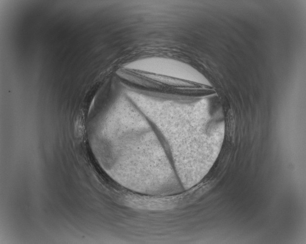 X0000082200040200702170029