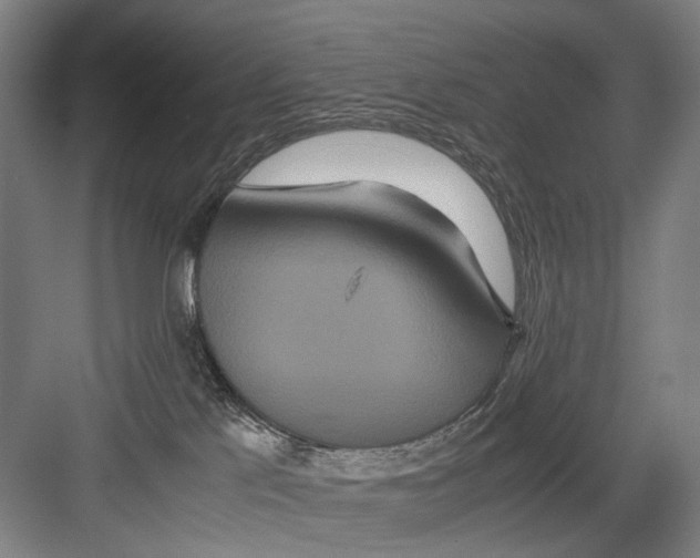 X0000082200041200702170029