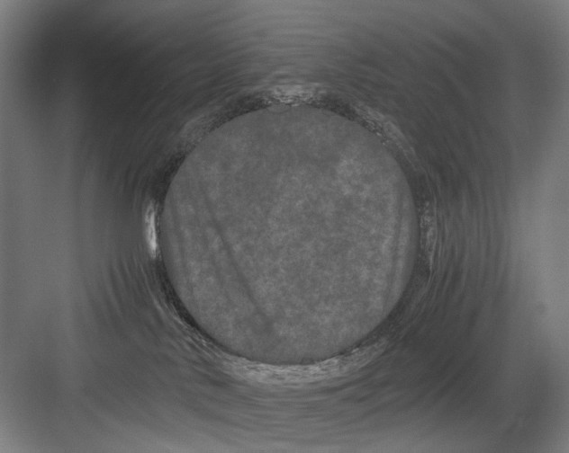 X0000082200042200702170029