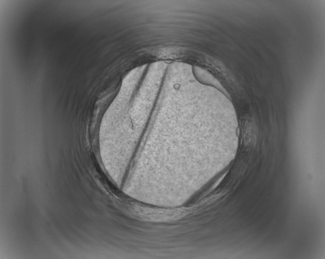 X0000082200044200702170029