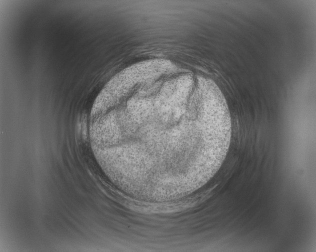 X0000082200046200702170029