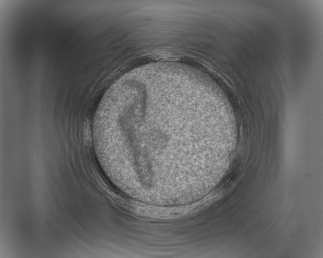 X0000082200048200702170029