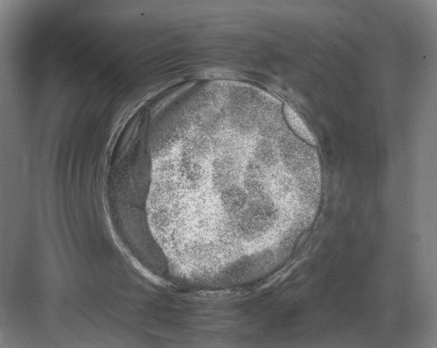 X0000082200049200702170029