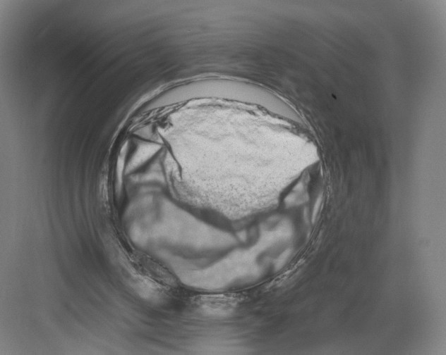 X0000082200050200702170029