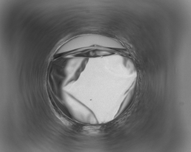 X0000082200051200702170029