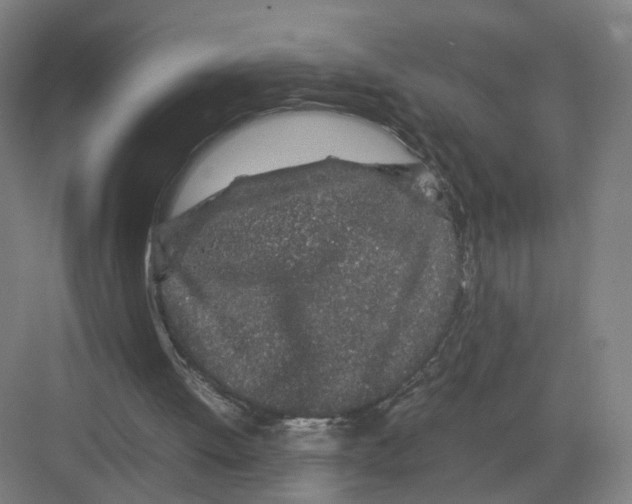 X0000082200052200702170029