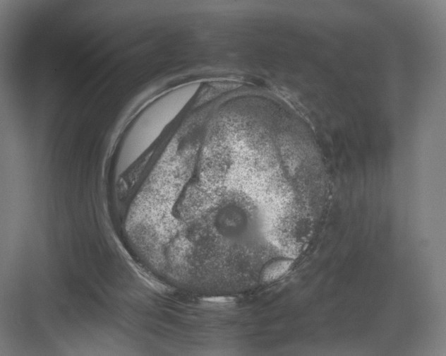 X0000082200053200702170029