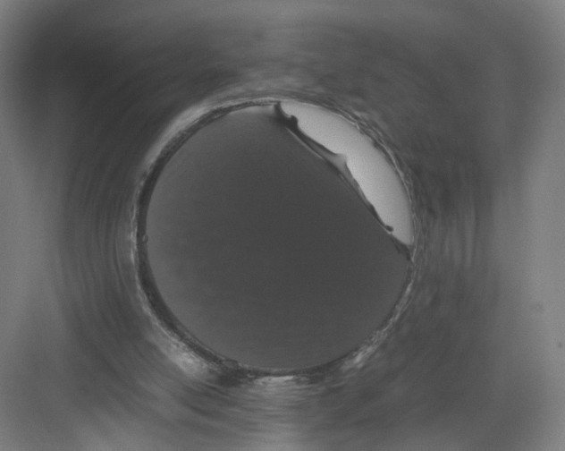 X0000082200054200702170029