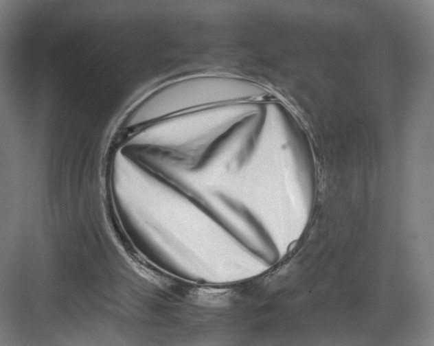 X0000082200055200702170029