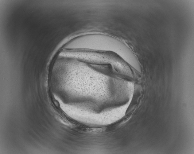 X0000082200056200702170029