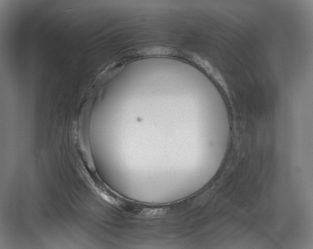 X0000082200057200702170029