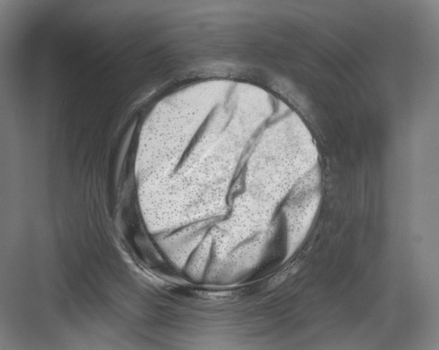 X0000082200058200702170029