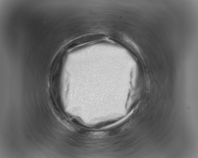 X0000082200059200702170029