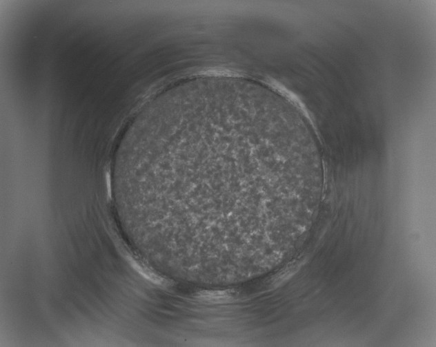 X0000082200061200702170029