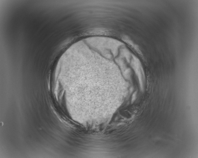 X0000082200062200702170029