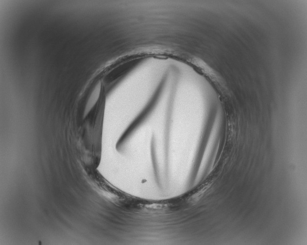 X0000082200064200702170029