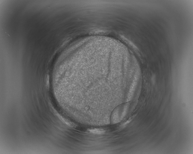 X0000082200067200702170029