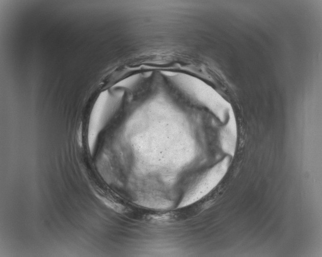 X0000082200068200702170029