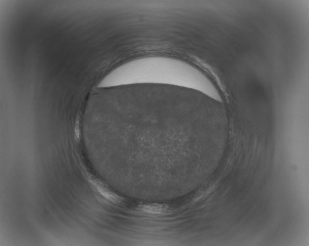 X0000082200069200702170029