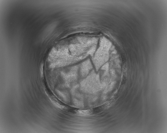 X0000082200070200702170029